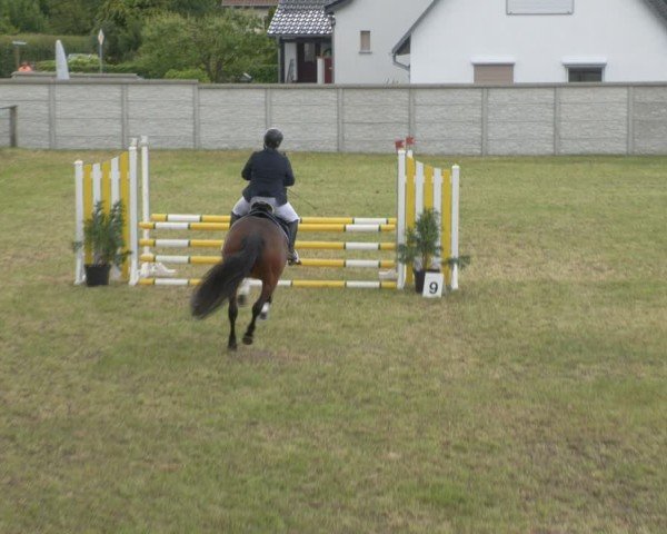 Reitturnier Buckow bei Beeskow (LOS) 2025