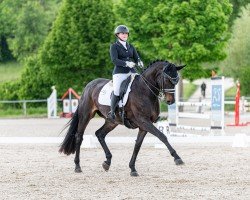 broodmare Firemark Js (German Sport Horse, 2016, from Finest)