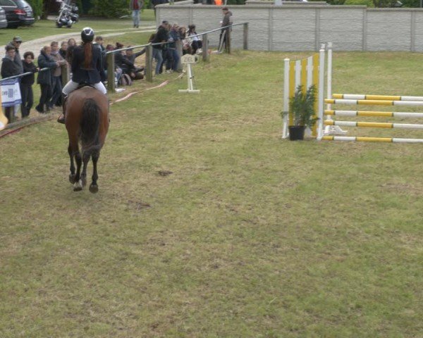 Reitturnier Buckow bei Beeskow (LOS) 2025