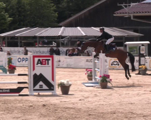 Reitturnier Ranshofen - Braunau am Inn 2025