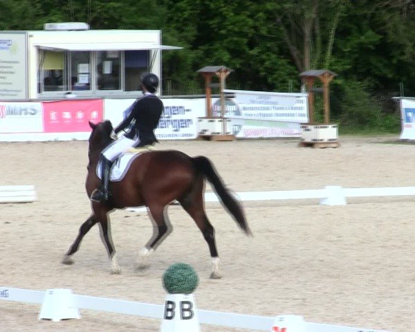 Reitturnier Mallersdorf-Pfaffenberg/Ndb. 2025