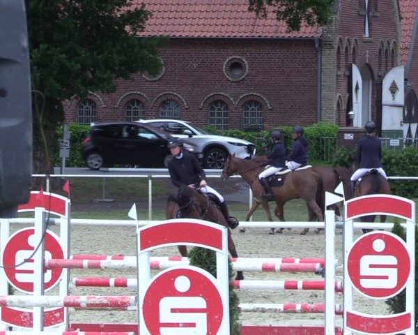 Reitturnier Ostenfelde-Vornholz 2025
