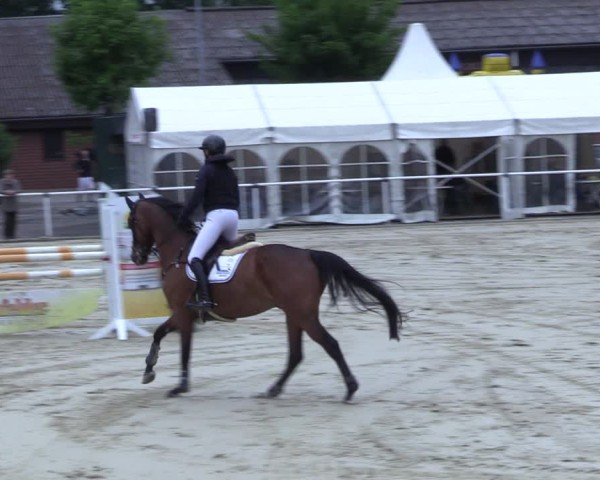 Reitturnier Ostenfelde-Vornholz 2025