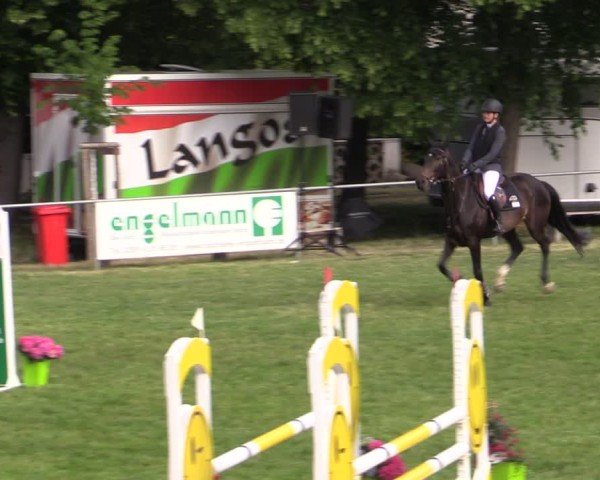 Reitturnier Königsborn 2025