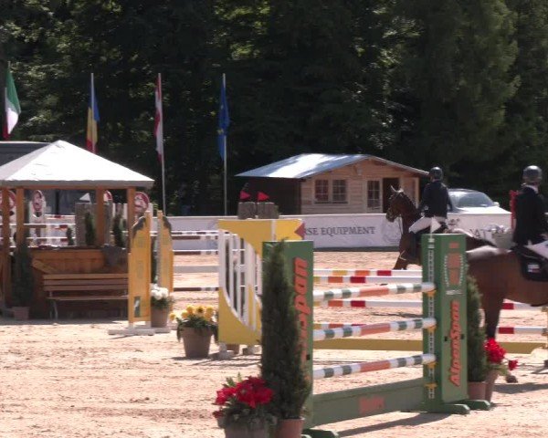 Reitturnier Ranshofen - Braunau am Inn 2025