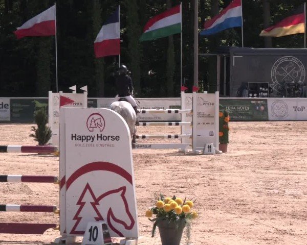 Reitturnier Ranshofen - Braunau am Inn 2025