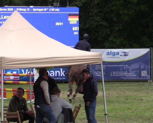 Reitturnier Zeven 2025