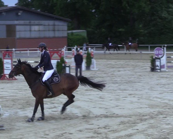 Reitturnier Ostenfelde-Vornholz 2025