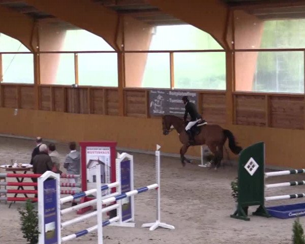 Hallenspringturnier Xanten - Reitanlage Miß 2014