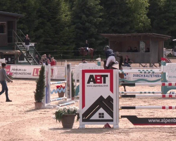 Reitturnier Ranshofen - Braunau am Inn 2025