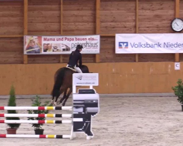 Hallenspringturnier Xanten - Reitanlage Miß 2014
