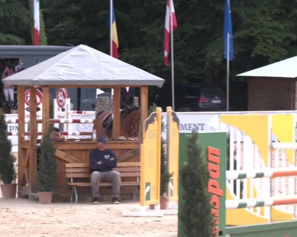 Reitturnier Ranshofen - Braunau am Inn 2025