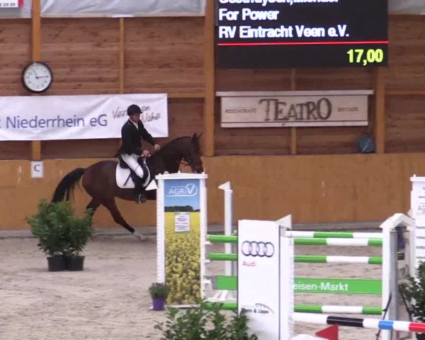 Hallenspringturnier Xanten - Reitanlage Miß 2014