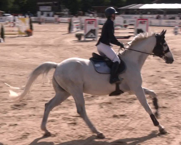Reitturnier Ranshofen - Braunau am Inn 2025