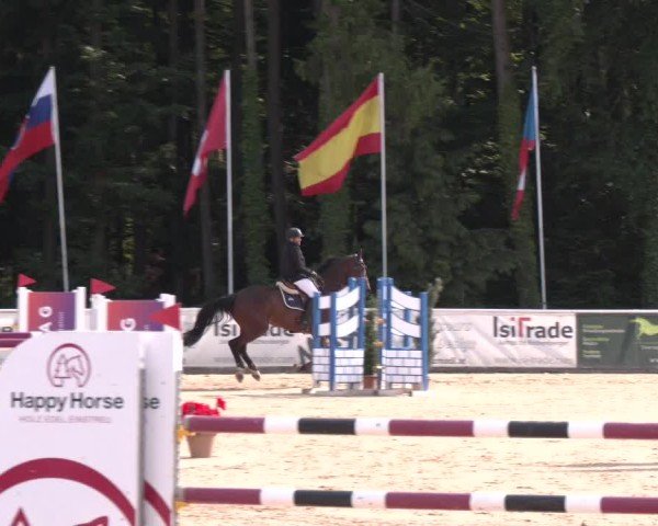 Reitturnier Ranshofen - Braunau am Inn 2025
