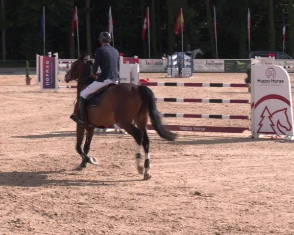 Reitturnier Ranshofen - Braunau am Inn 2025