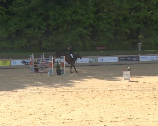 Reitturnier Tiefenhof/Opf. 2025