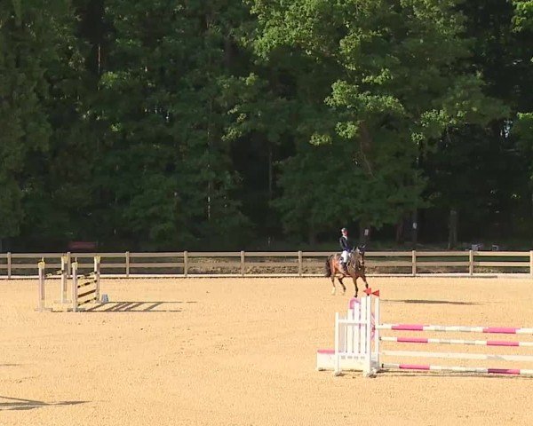 Reitturnier Tiefenhof/Opf. 2025