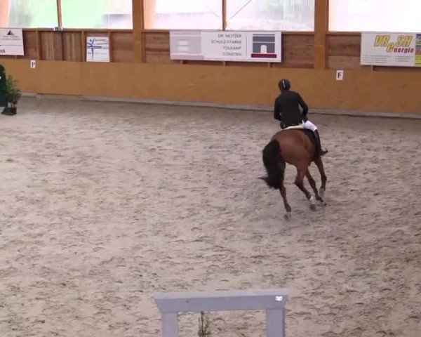 Hallenspringturnier Xanten - Reitanlage Miß 2014