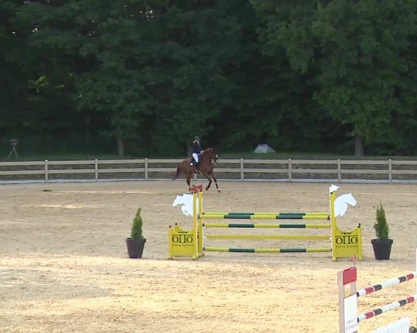 Reitturnier Tiefenhof/Opf. 2025