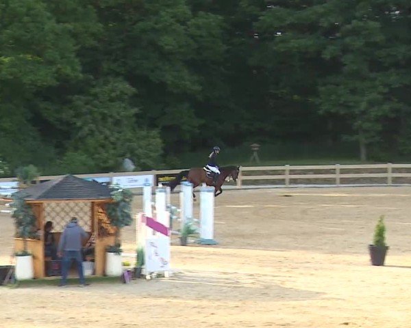 Reitturnier Tiefenhof/Opf. 2025
