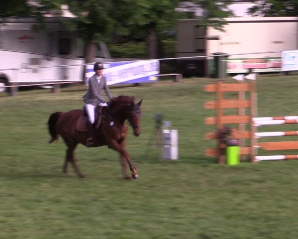 Reitturnier Königsborn 2025