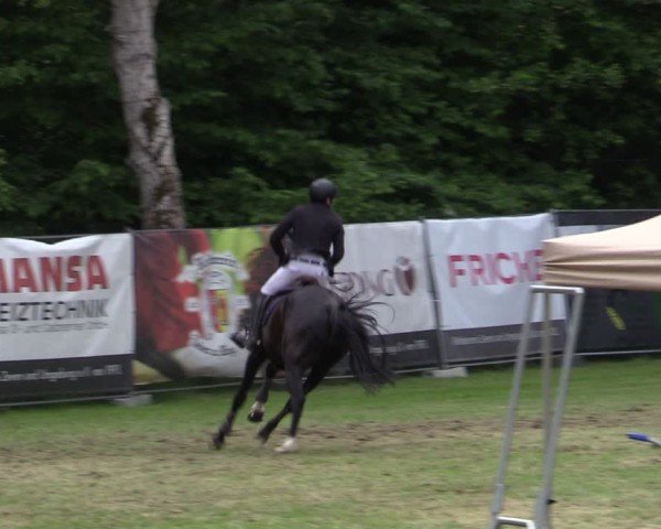 Reitturnier Zeven 2025