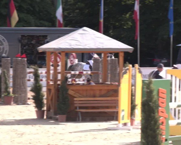 Reitturnier Ranshofen - Braunau am Inn 2025