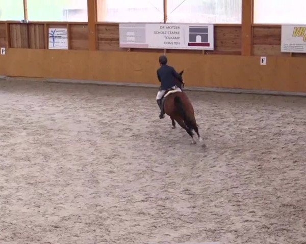 Hallenspringturnier Xanten - Reitanlage Miß 2014