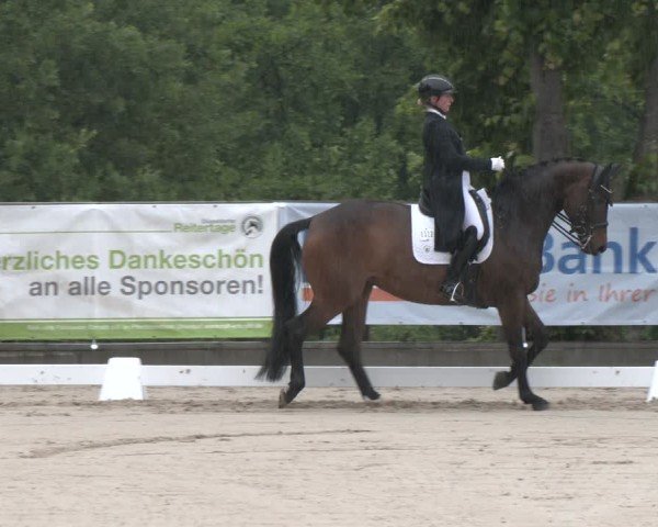 Reitturnier Erkrath - Uhlenhof 2025