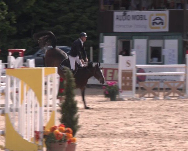 Reitturnier Ranshofen - Braunau am Inn 2025