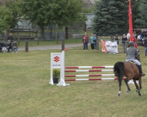 Reitturnier Buckow bei Beeskow (LOS) 2025