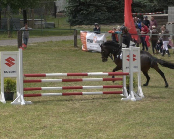 Reitturnier Buckow bei Beeskow (LOS) 2025