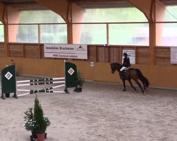 Hallenspringturnier Xanten - Reitanlage Miß 2014
