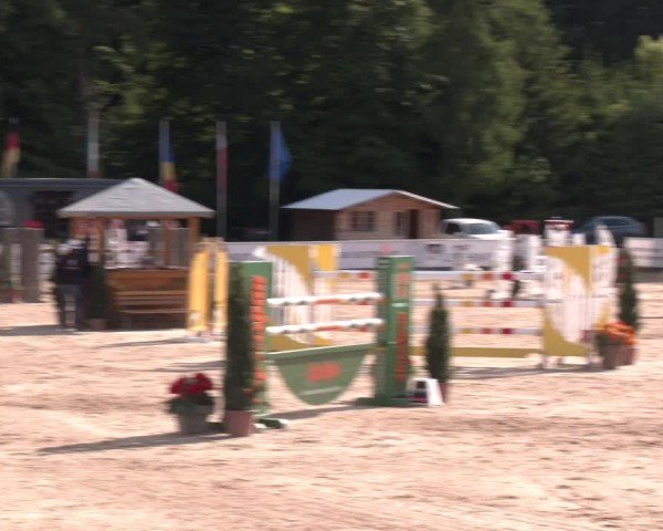 Reitturnier Ranshofen - Braunau am Inn 2025