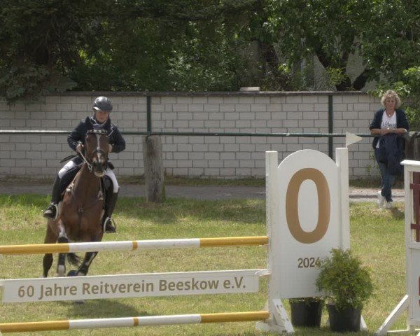 Reitturnier Buckow bei Beeskow (LOS) 2025