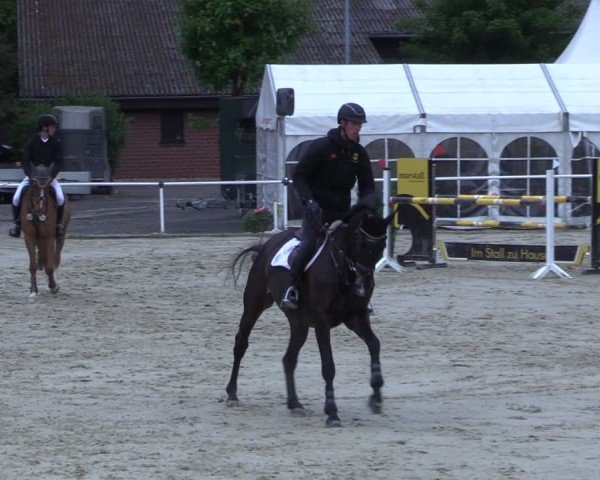Reitturnier Ostenfelde-Vornholz 2025