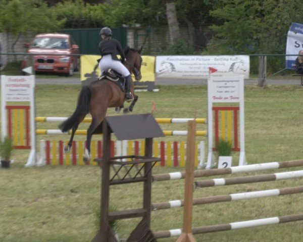 Reitturnier Buckow bei Beeskow (LOS) 2025