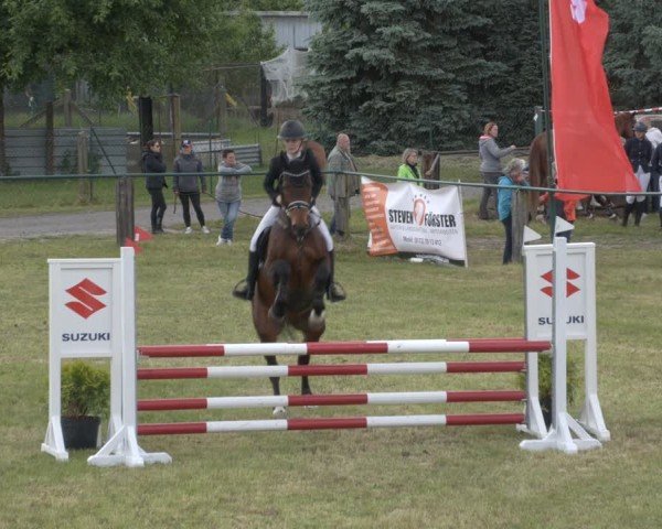 Reitturnier Buckow bei Beeskow (LOS) 2025