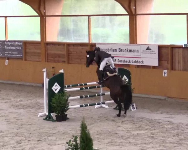 Hallenspringturnier Xanten - Reitanlage Miß 2014