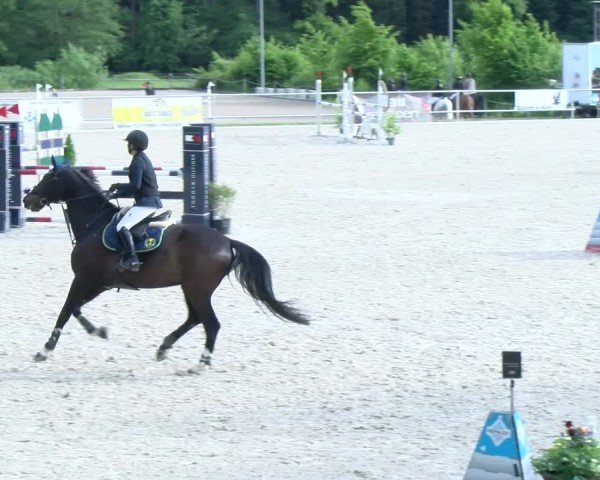 Reitturnier Meilen 2025