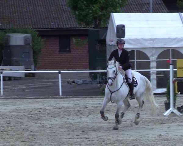 Reitturnier Ostenfelde-Vornholz 2025