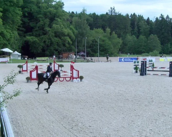 Reitturnier Meilen 2025