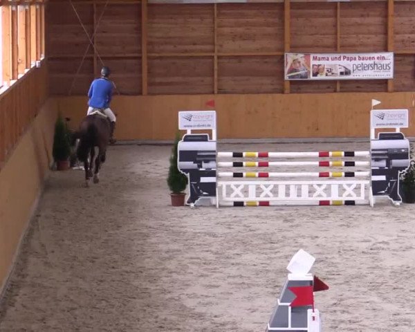 Hallenspringturnier Xanten - Reitanlage Miß 2014