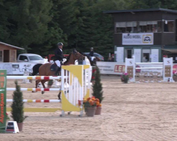 Reitturnier Ranshofen - Braunau am Inn 2025