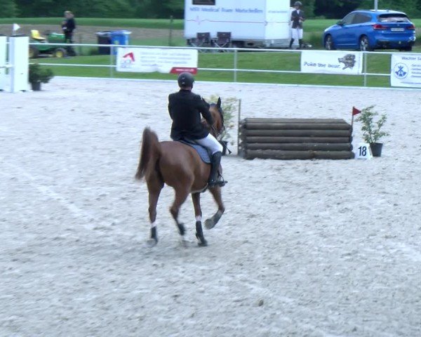 Reitturnier Meilen 2025