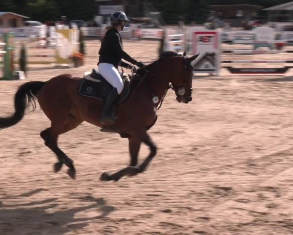 Reitturnier Ranshofen - Braunau am Inn 2025