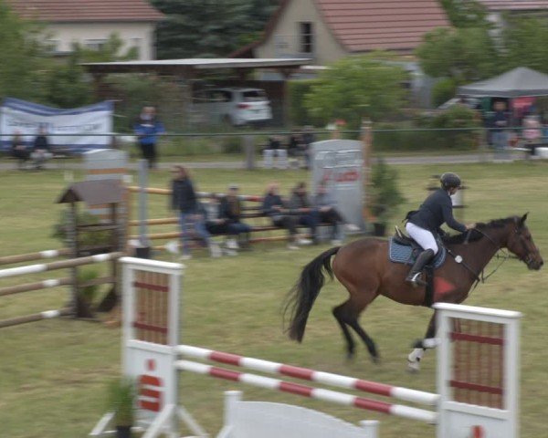 Reitturnier Buckow bei Beeskow (LOS) 2025