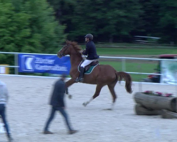 Reitturnier Meilen 2025