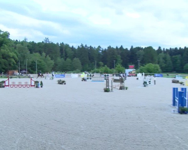 Reitturnier Meilen 2025